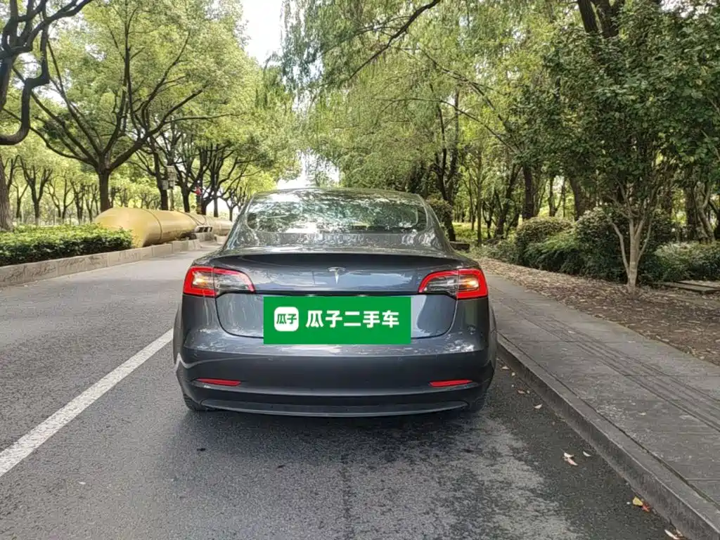 Tesla Model 3 — миниатюра 6