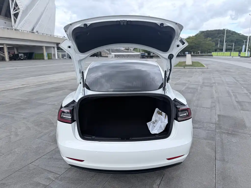 Tesla Model 3 — миниатюра 10