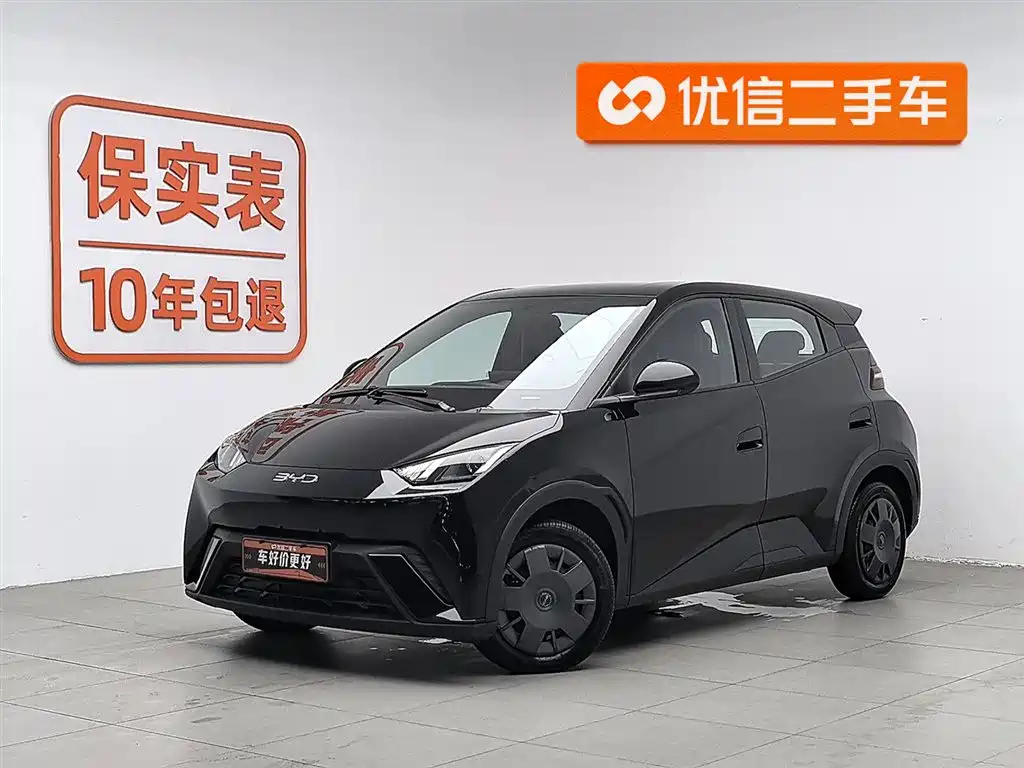 Byd Seagull 2024