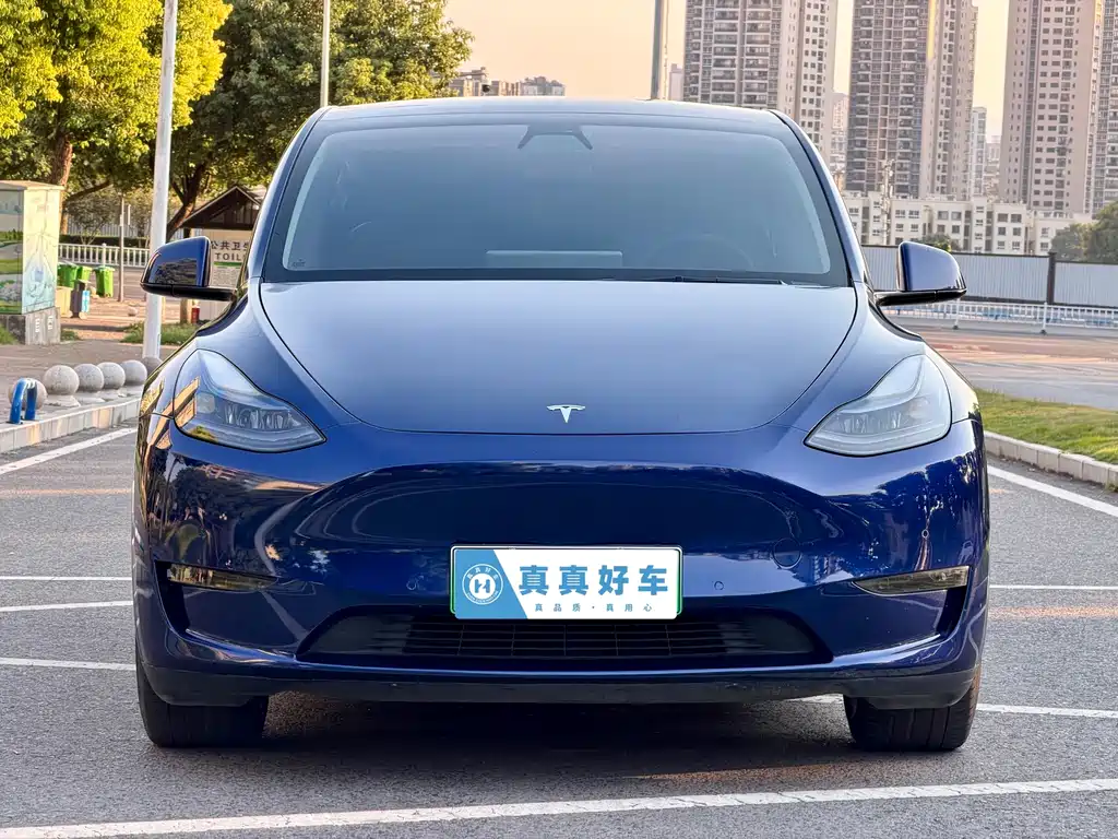 Tesla Model Y — миниатюра 2