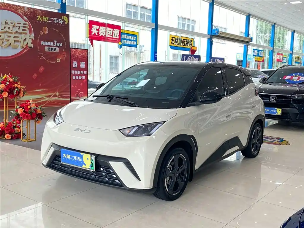 Byd Seagull 2024
