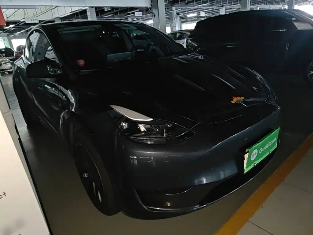 Tesla Model Y — миниатюра 4