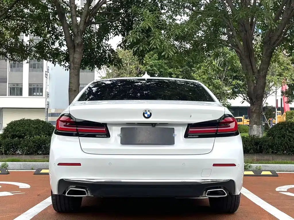 BMW 5 Series 5 2021 530Li Lead Luxury