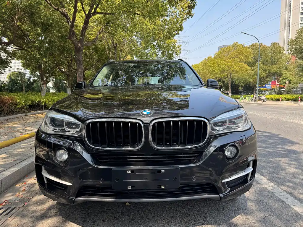 BMW X5 (Import) — миниатюра 2