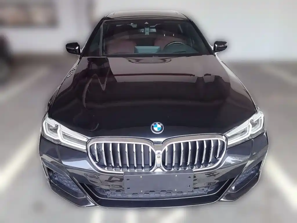 BMW 5 Series 5 2021 530Li Premium M Sport