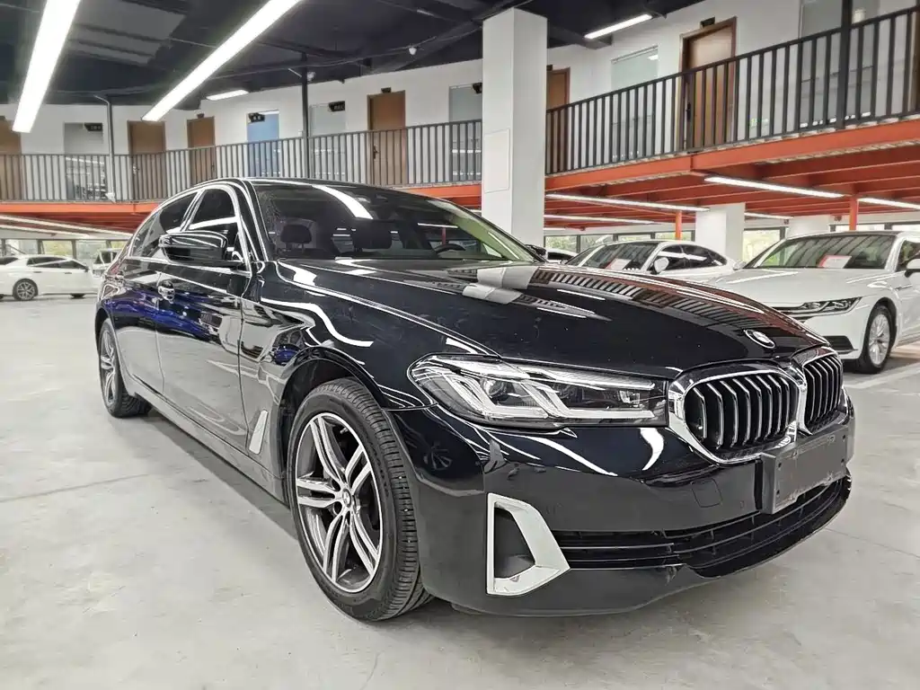 BMW 5 Series — миниатюра 3