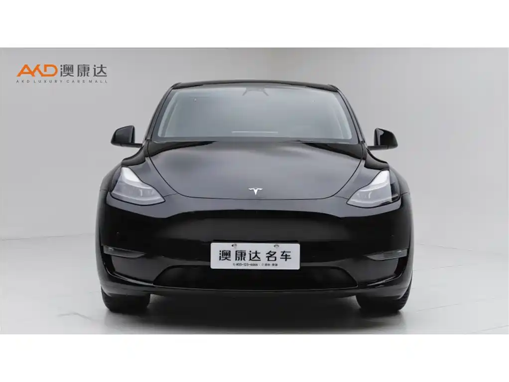 Tesla Model Y — миниатюра 2