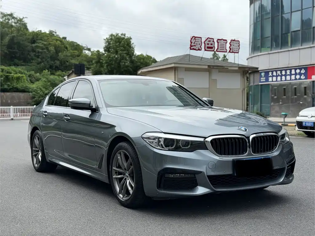 BMW 5 Series (Import) — миниатюра 3