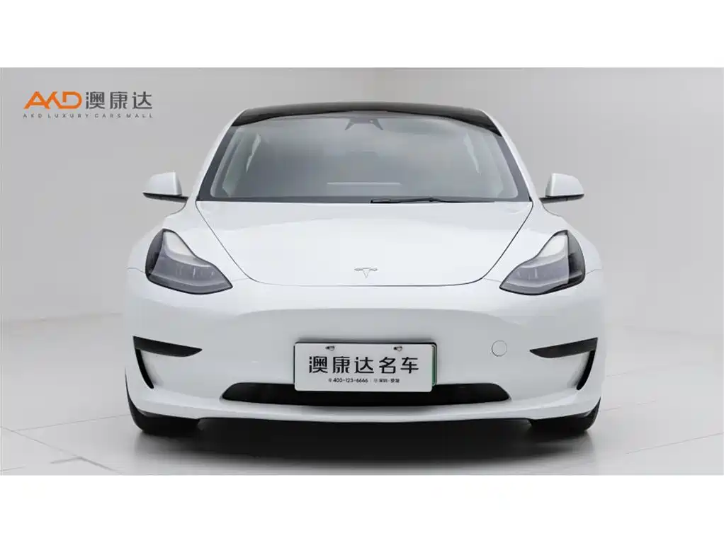 Tesla Model 3 — миниатюра 2