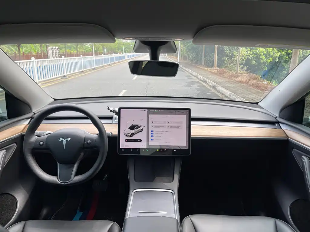 Tesla Model Y — миниатюра 17