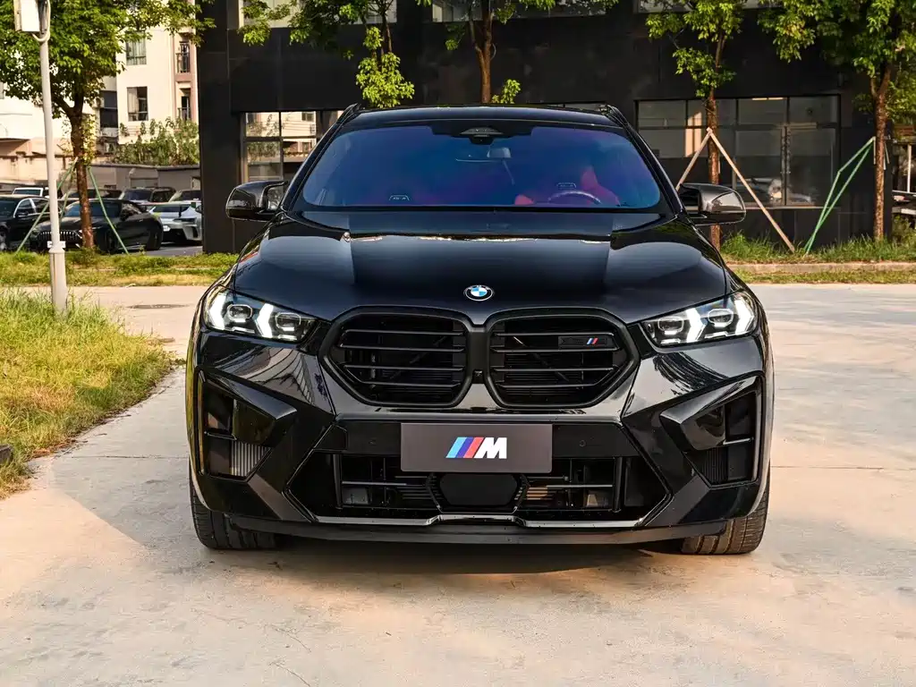 BMW X6 M — миниатюра 2
