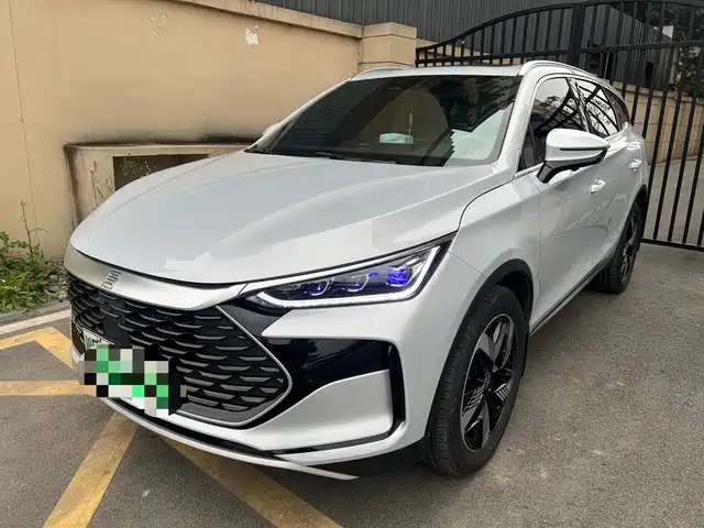 BYD TANGXIN ENERGY 2024