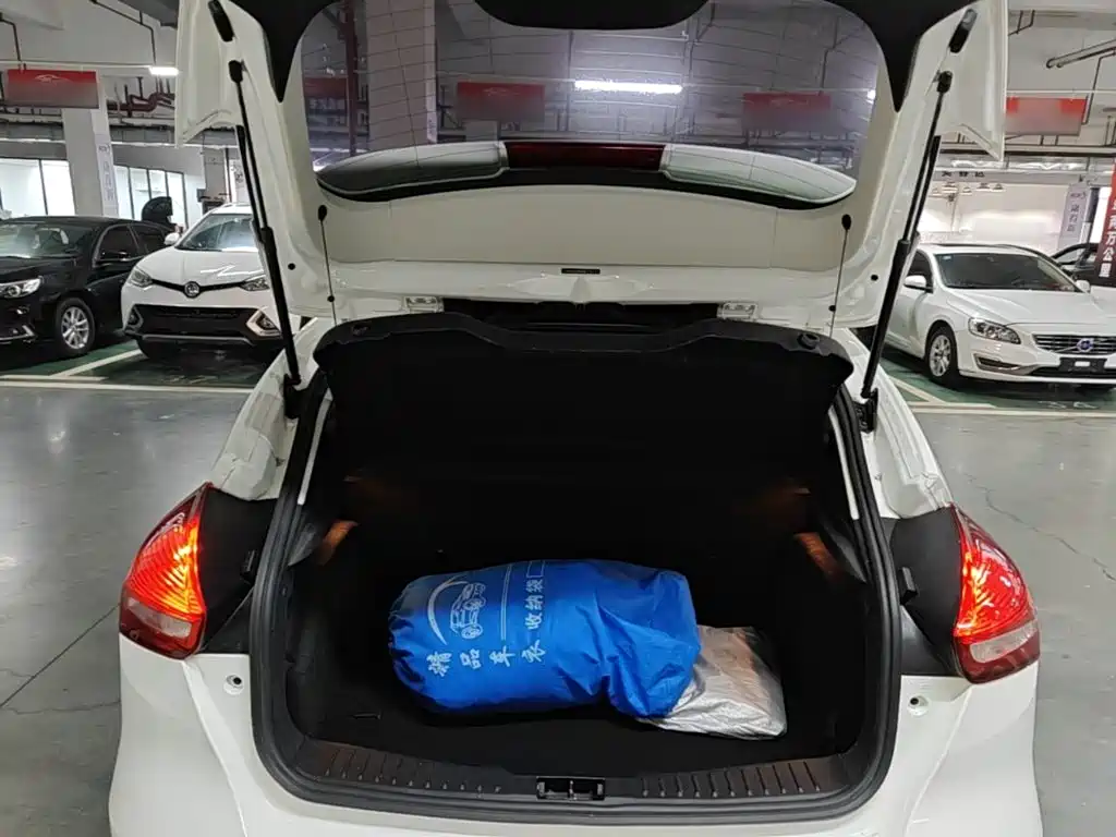 Ford Focus — миниатюра 19