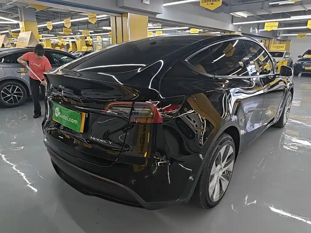 Tesla Model Y — миниатюра 7