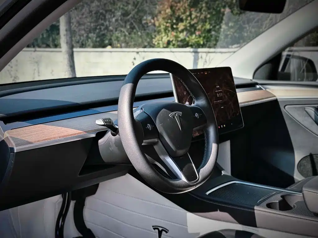 Tesla Model Y — миниатюра 7