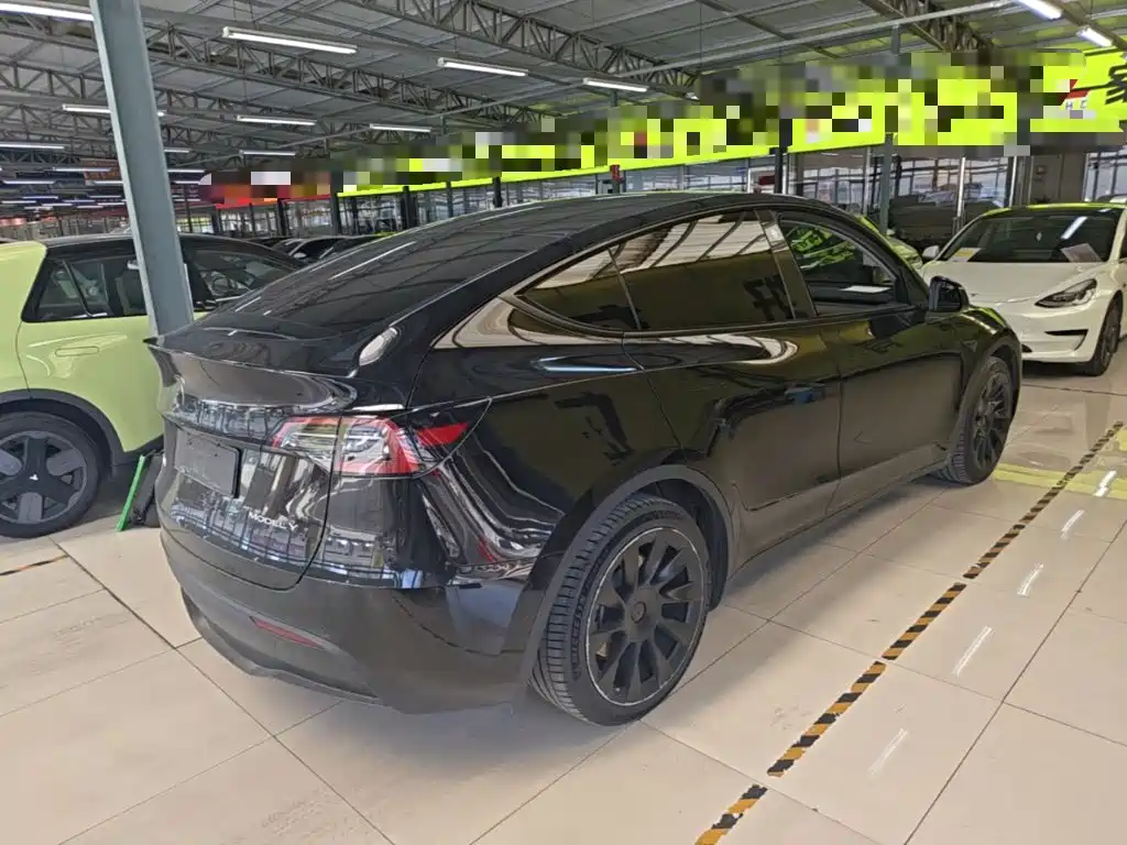 Tesla Model Y — миниатюра 7