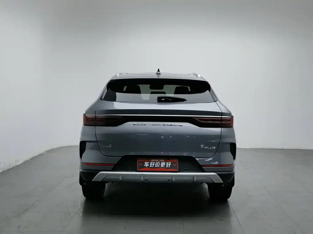 BYD PLUS — миниатюра 4