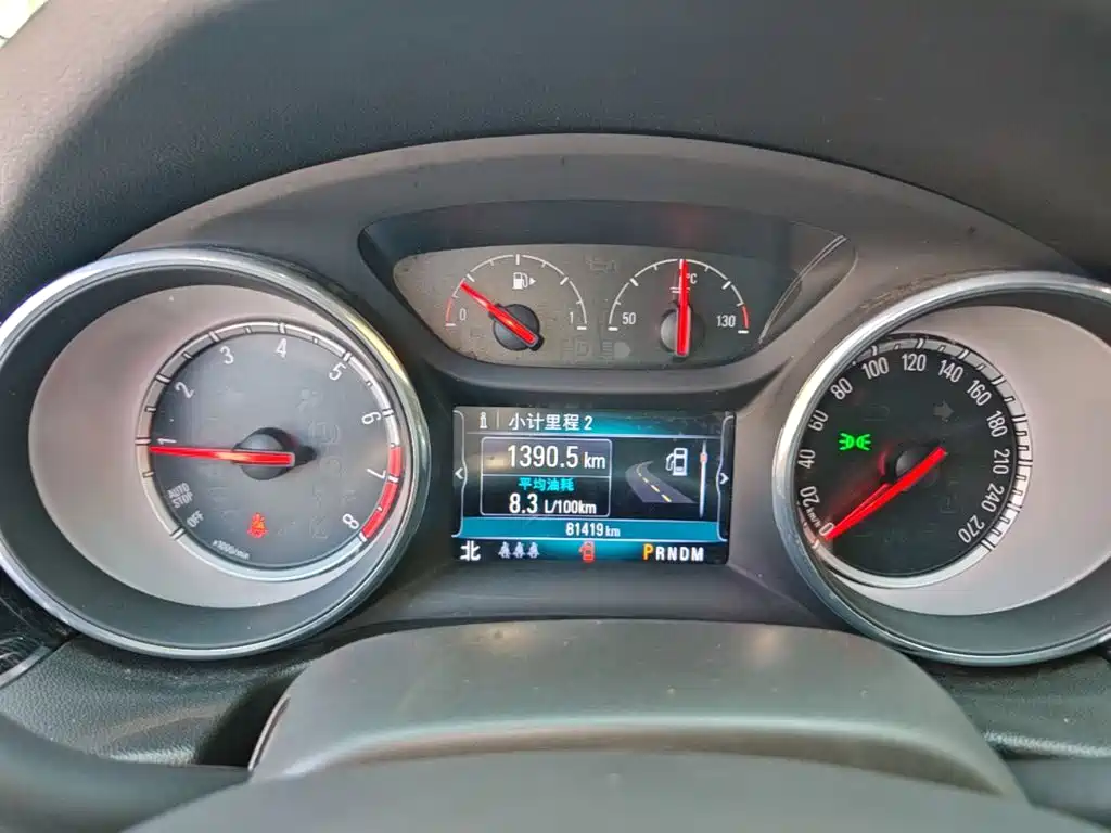 Buick Regal — миниатюра 12