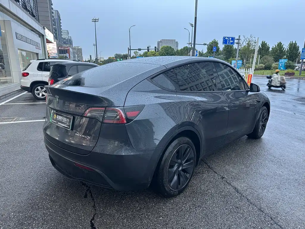 Tesla Model Y — миниатюра 8