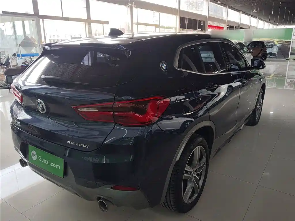 BMW X2 2020 sDrive25i Lead M