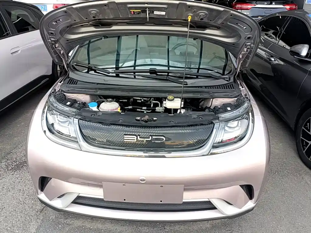 BYD Dolphin — миниатюра 20