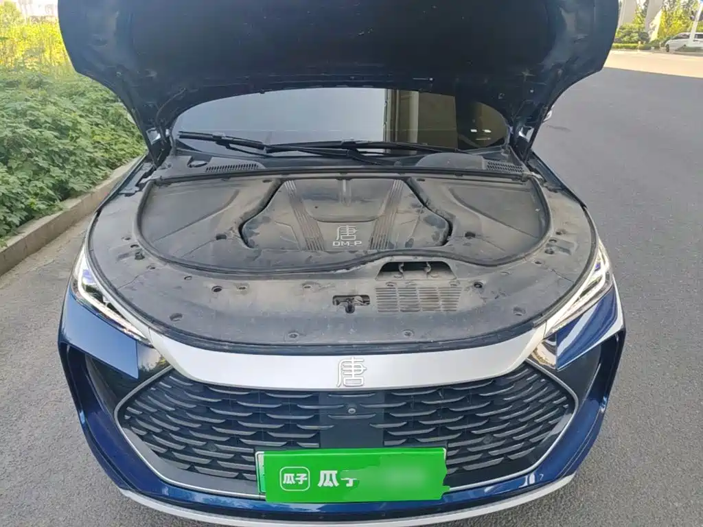 BYD Tang New Energy — миниатюра 20