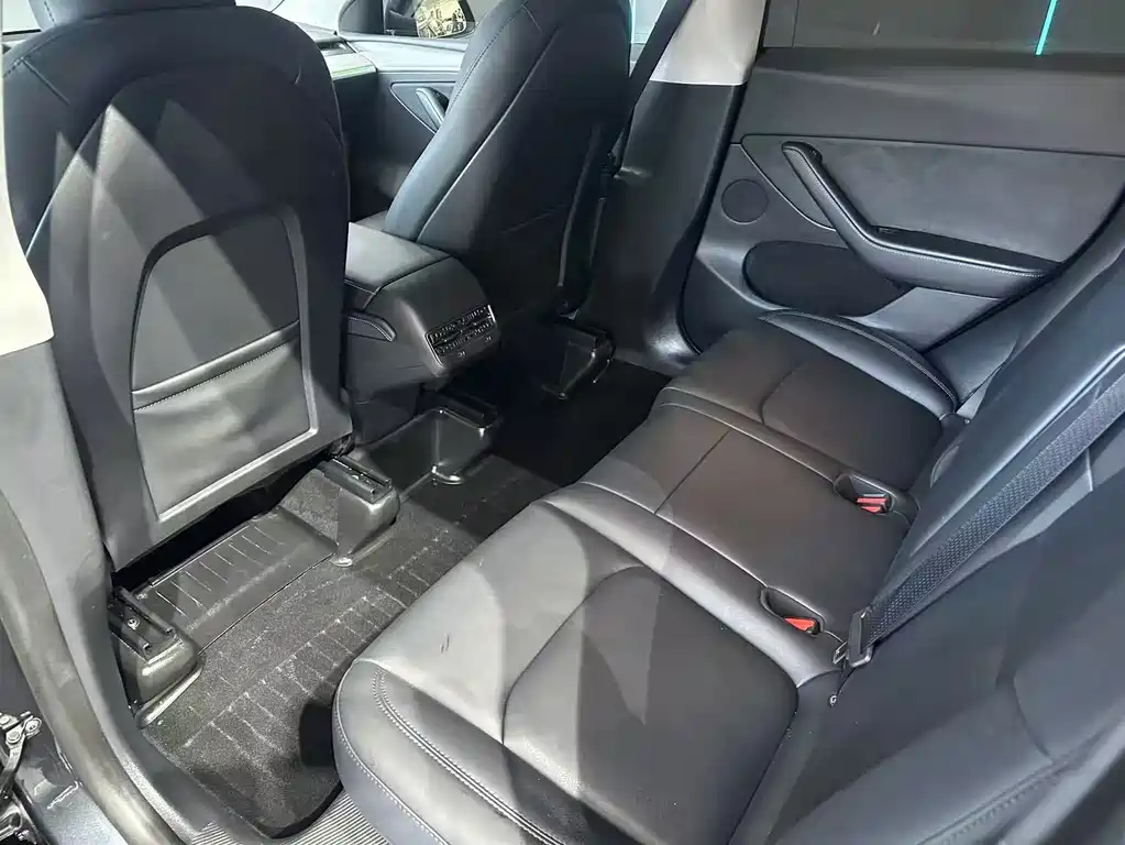 Tesla Model Y — миниатюра 10