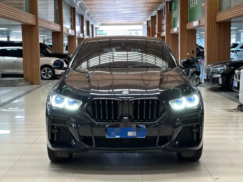 BMW X6 — миниатюра 2