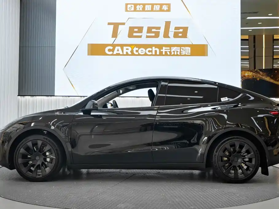Tesla Model Y — миниатюра 3
