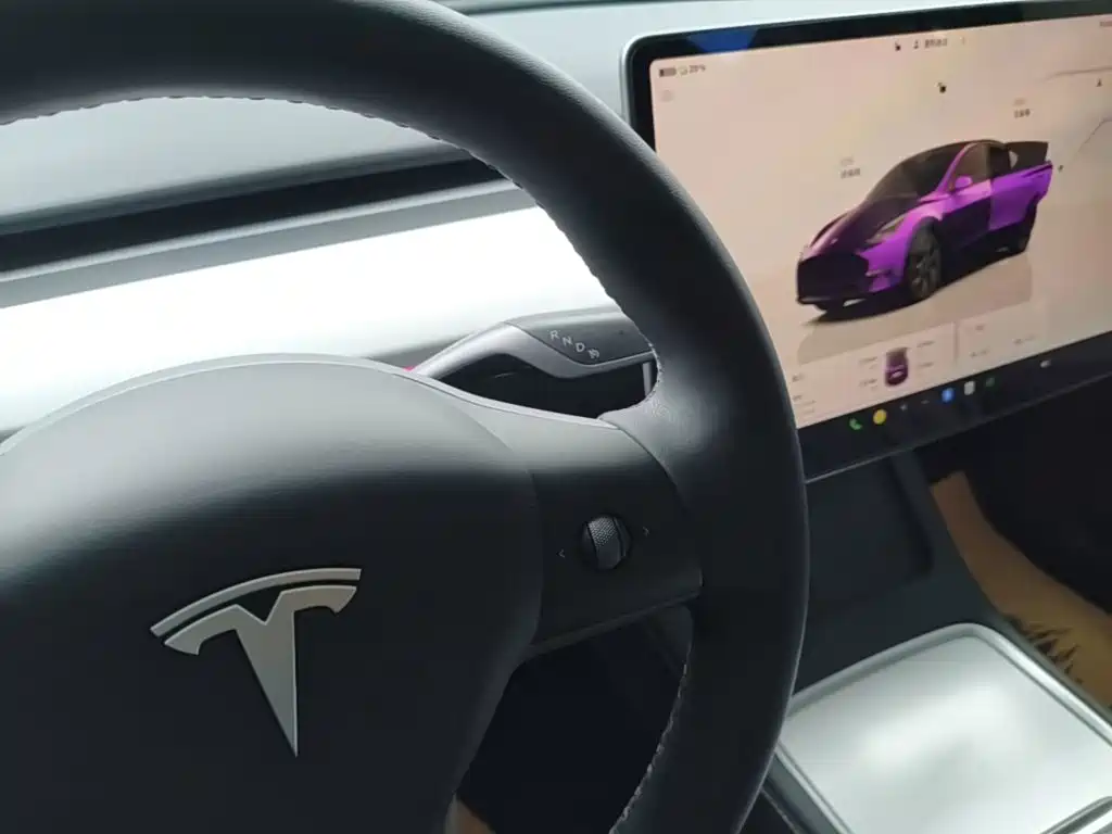Tesla Model Y — фотографии объявления, Фото 14