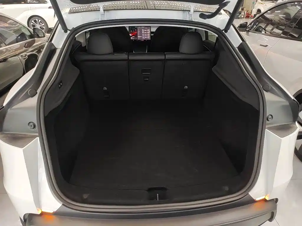 Tesla Model Y — миниатюра 19