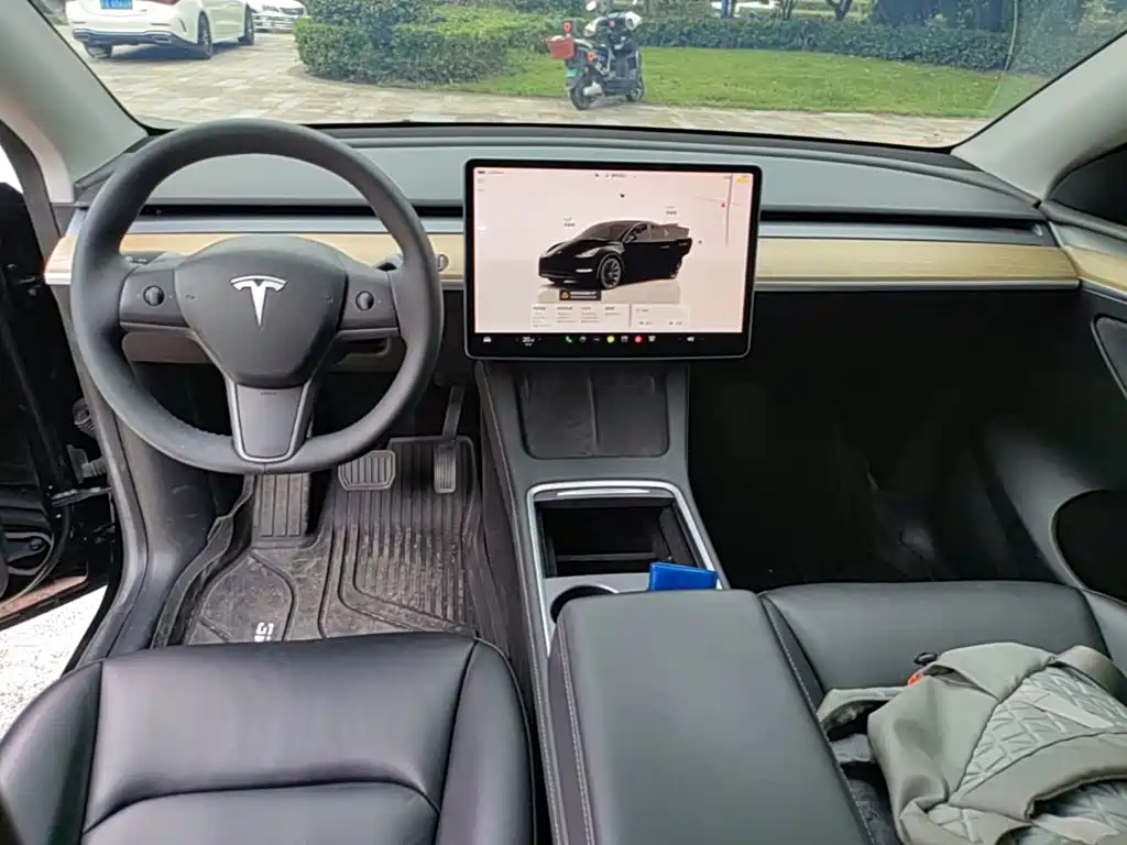 Tesla Model Y — миниатюра 10