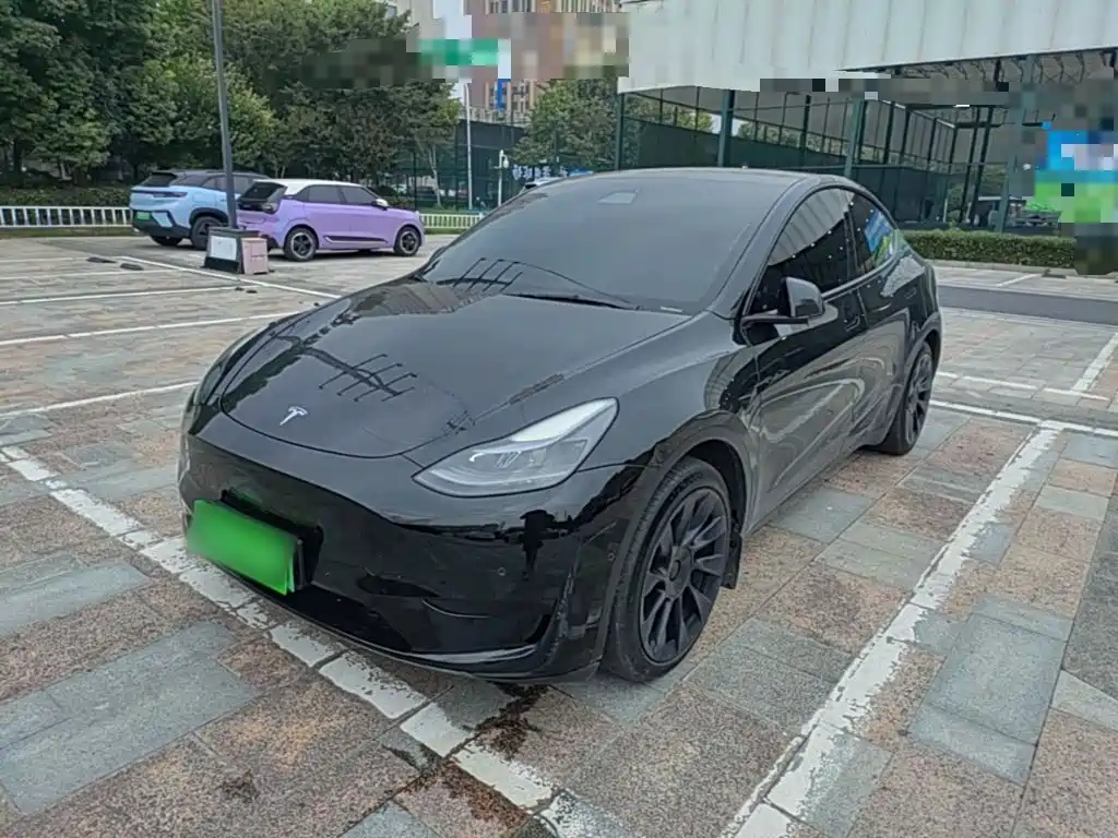 Tesla Model Y — миниатюра 2