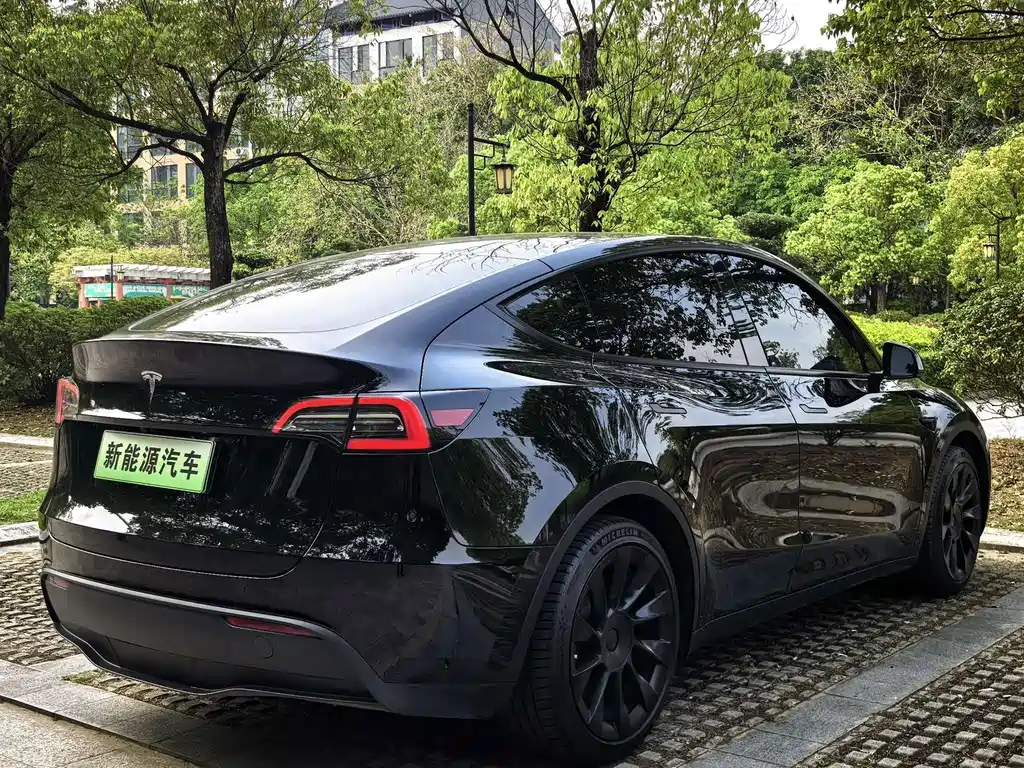 Tesla Model Y — миниатюра 7