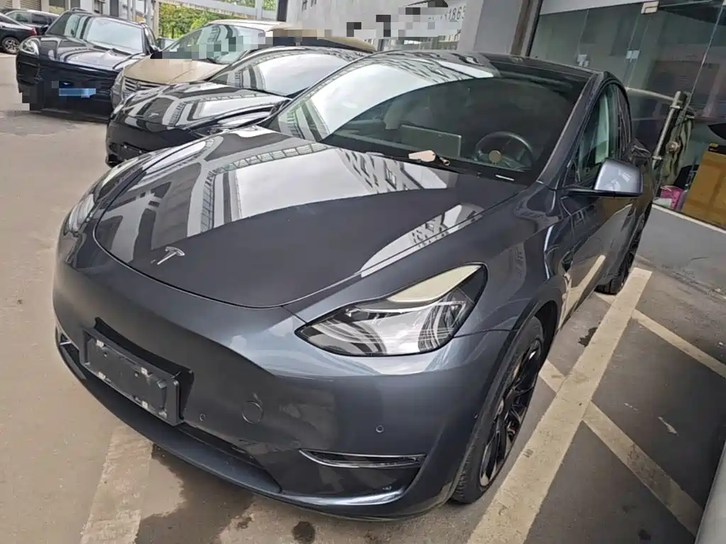 Tesla Model Y — миниатюра 2