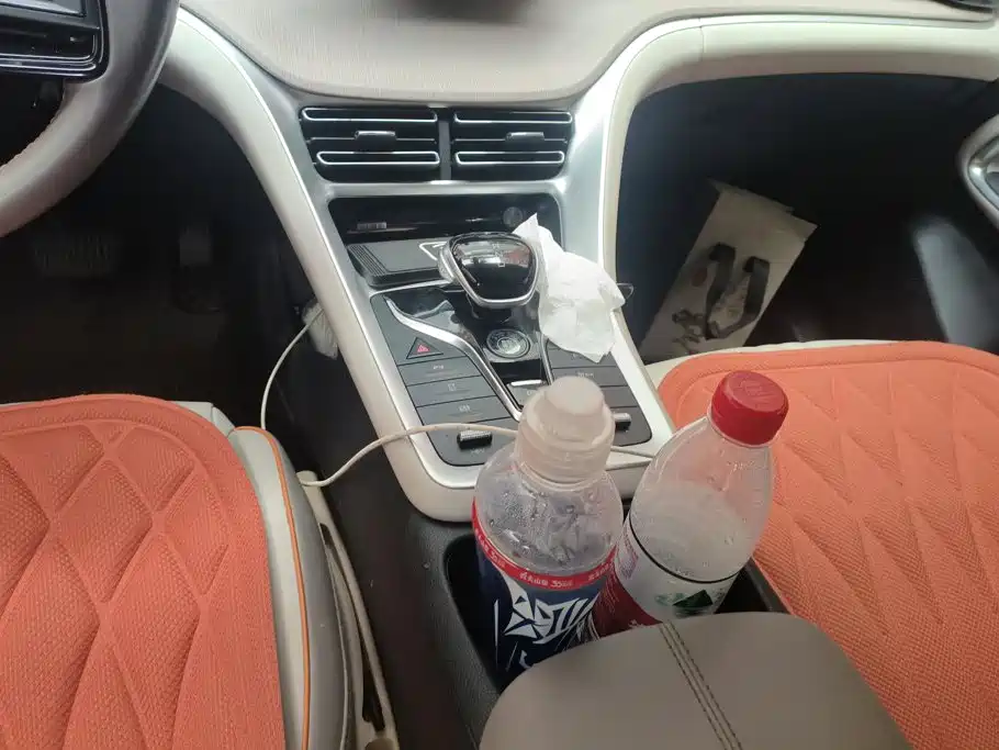 BYD Pro New Energy — миниатюра 16