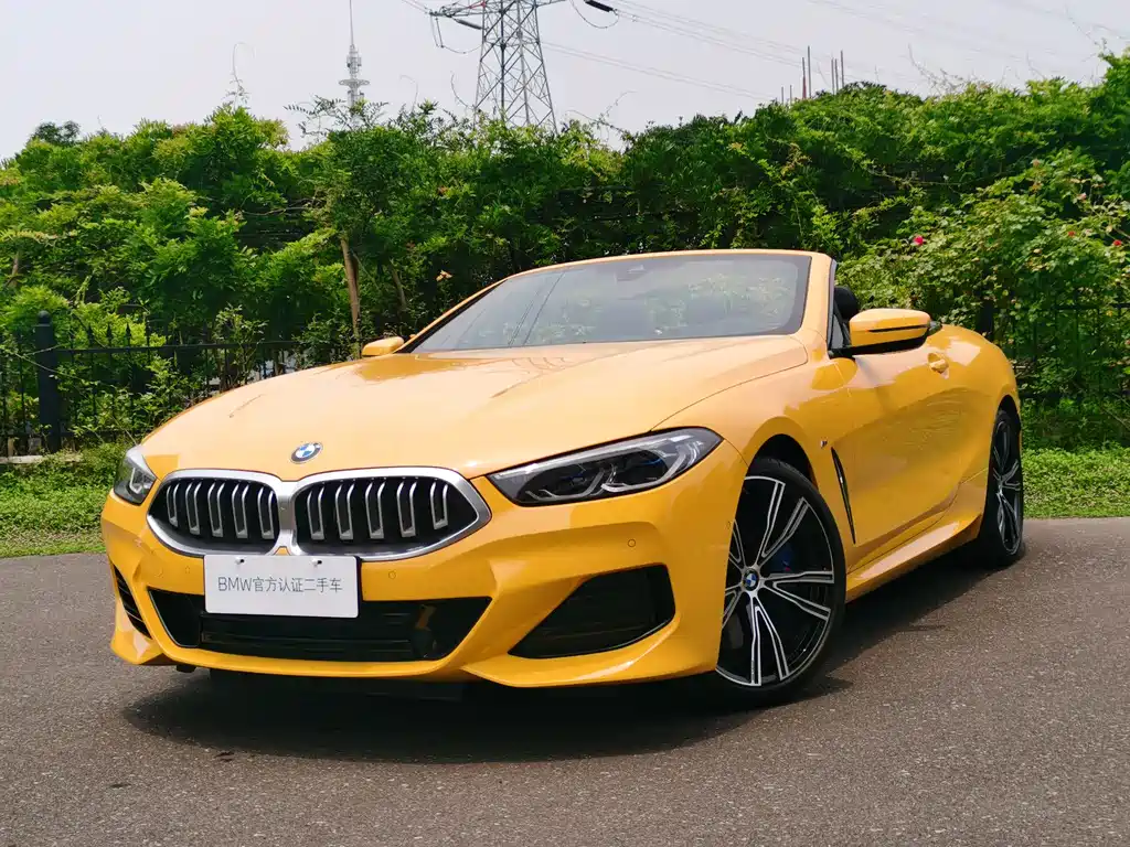 BMW 8 Series 840i Convertible Coupe M Sport Package, фото 13