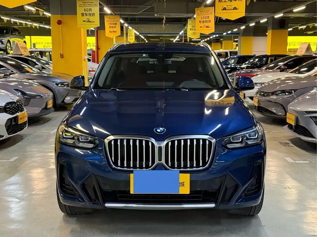 BMW X3 — миниатюра 2