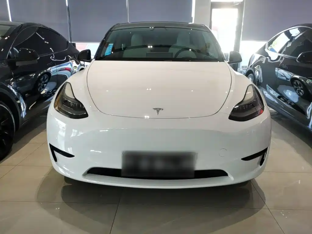 Tesla Model Y — миниатюра 3