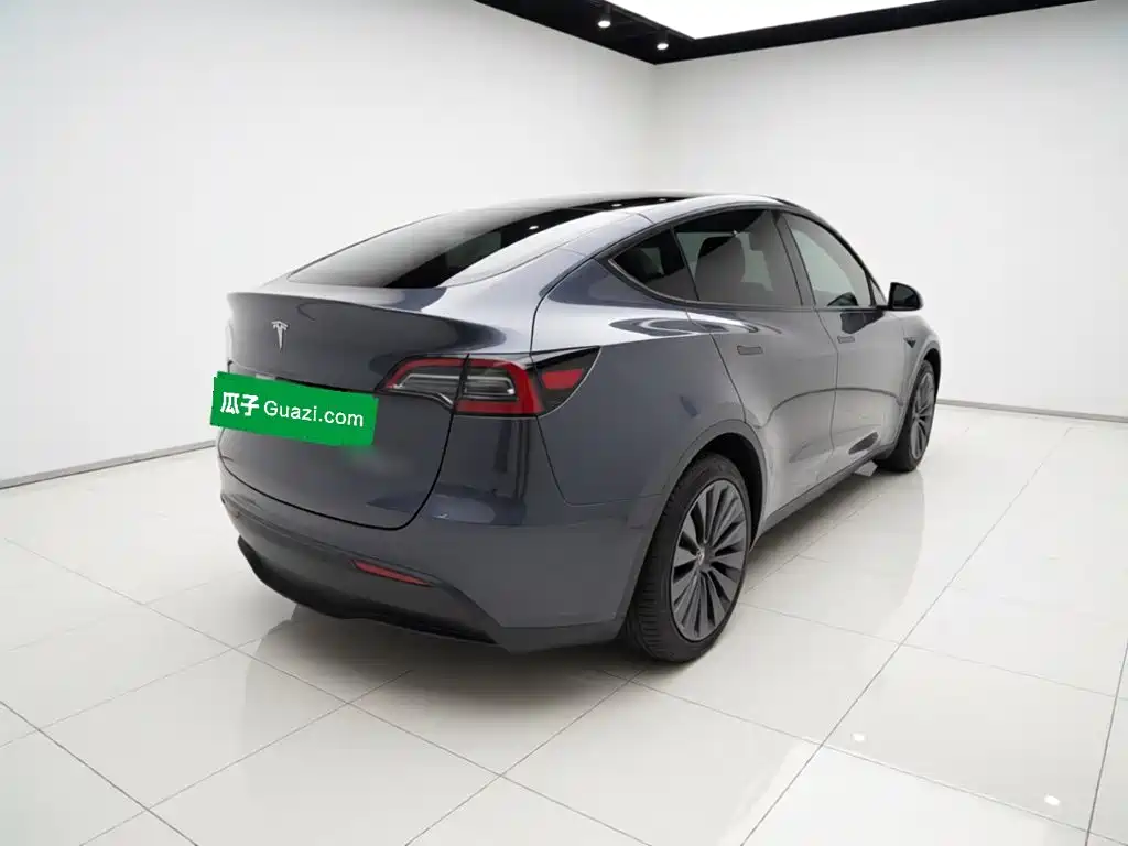 Tesla Model Y — миниатюра 4