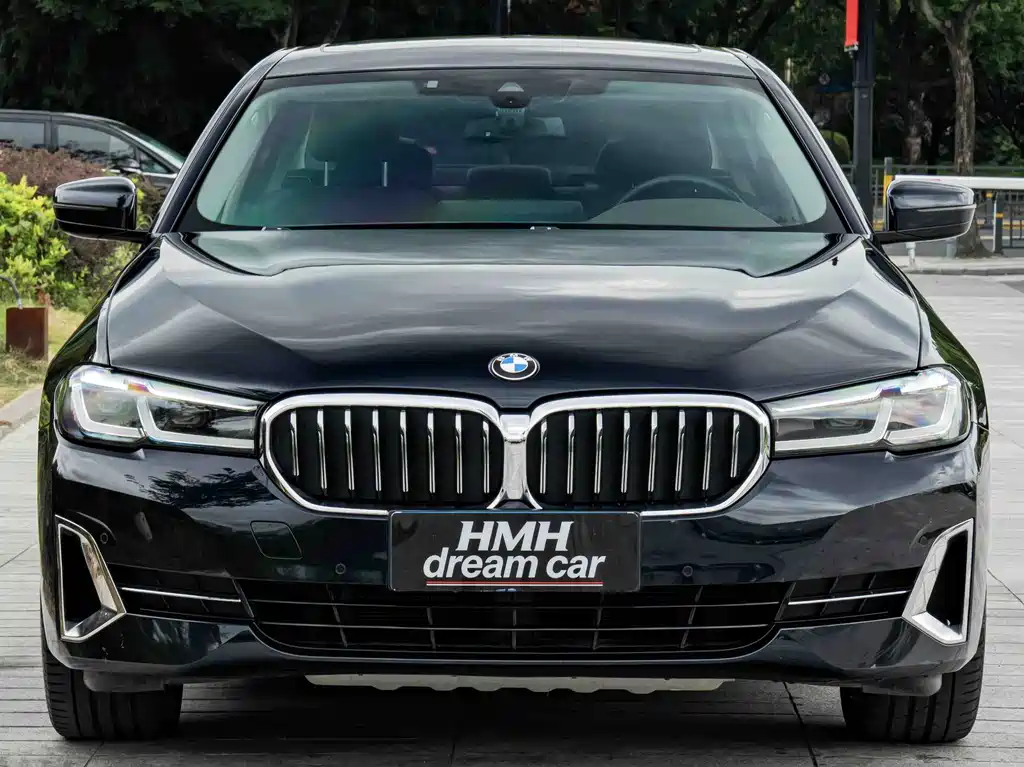BMW 5 Series — миниатюра 2