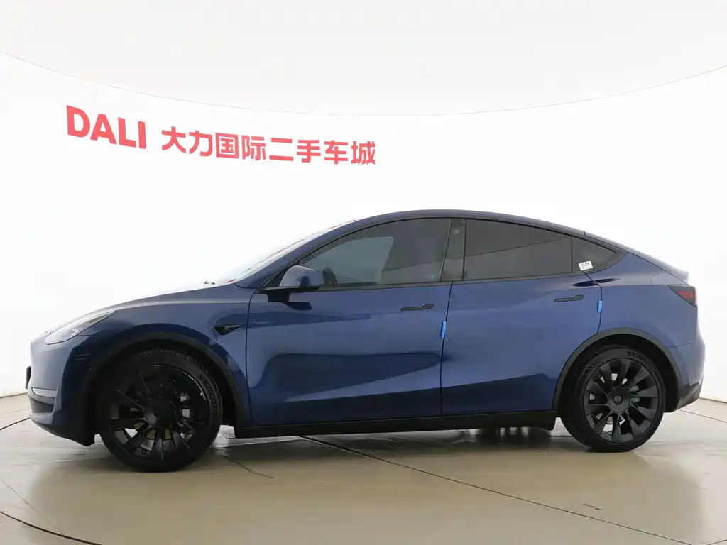 Tesla Model Y — миниатюра 4