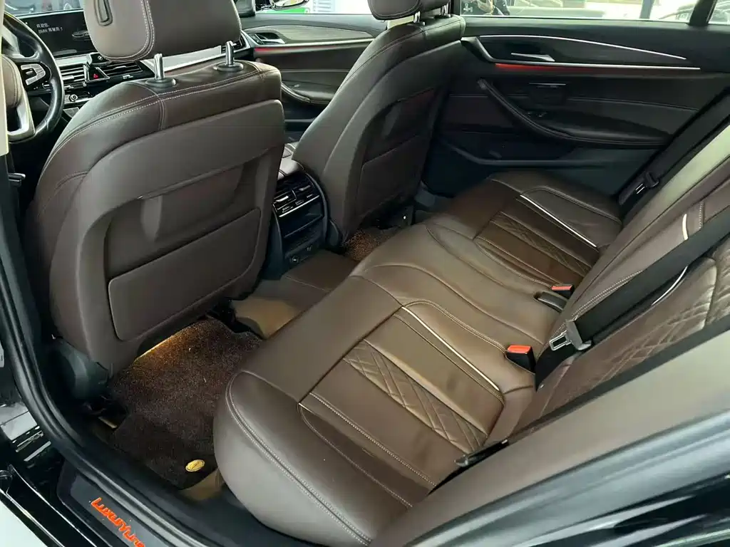 BMW 5 Series 5 2019 530Li Lead Luxury