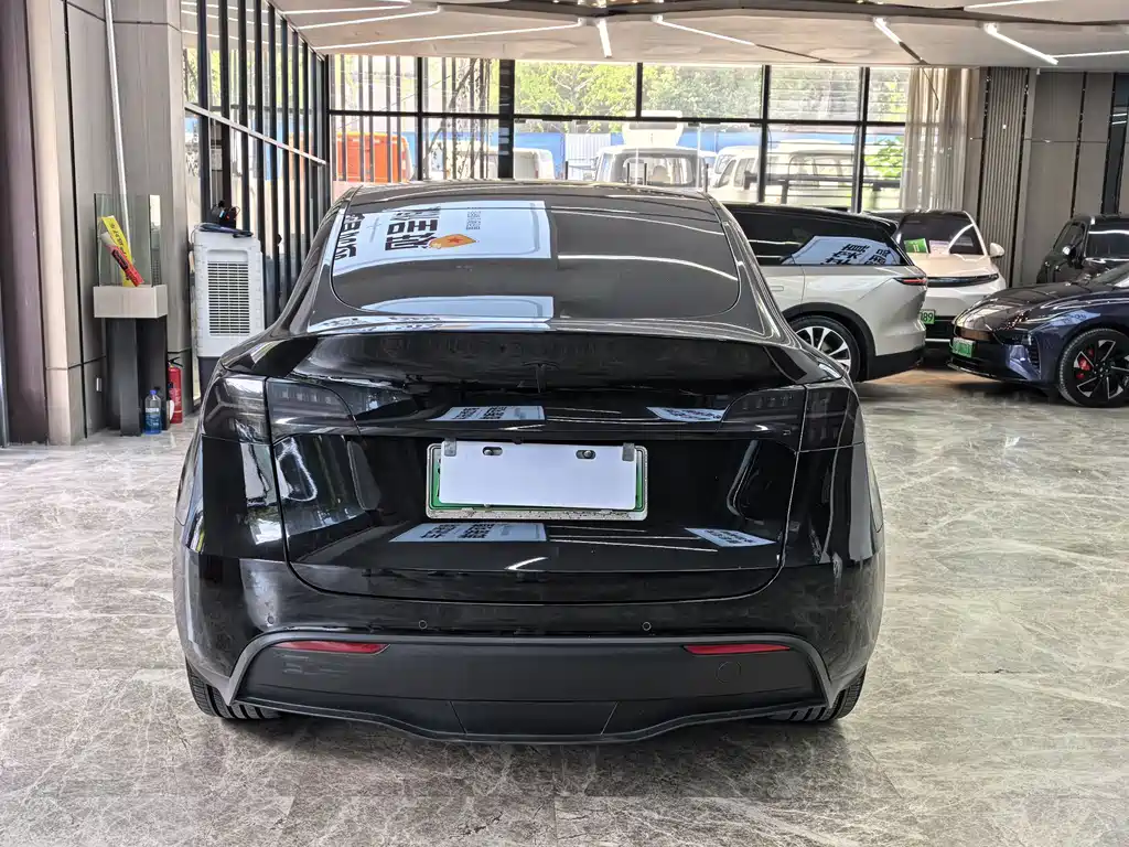 Tesla Model Y — миниатюра 6