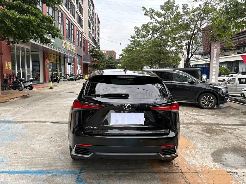 Lexus NX — миниатюра 6
