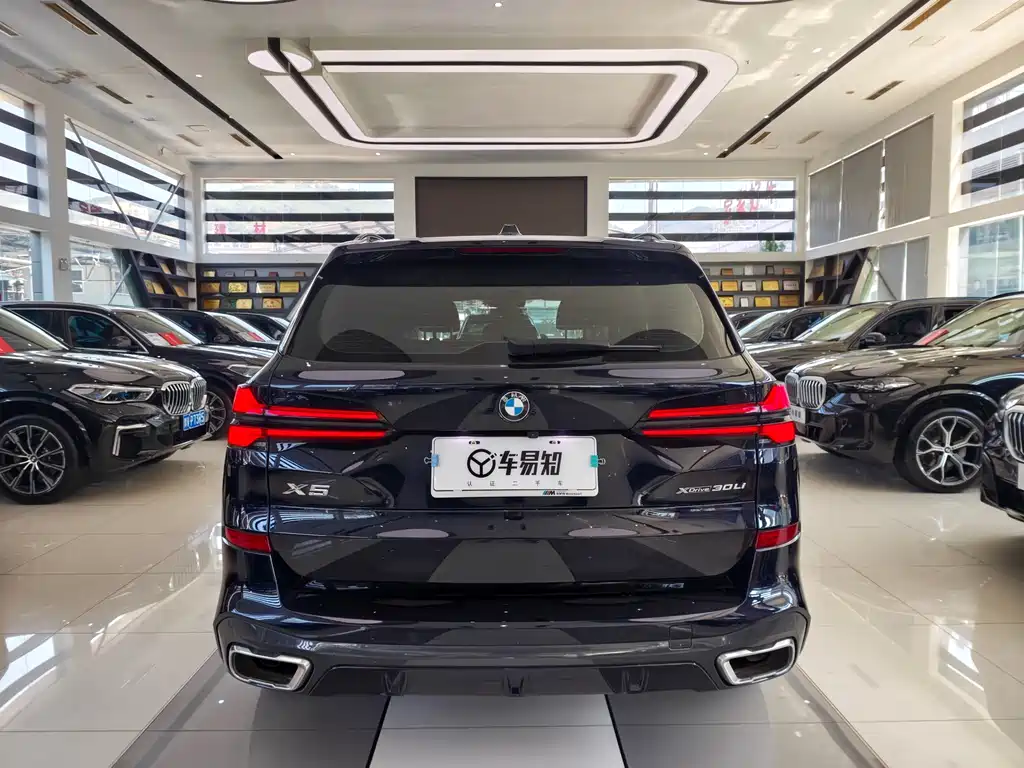 BMW X5 — миниатюра 5