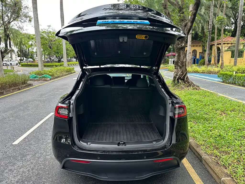 Tesla Model Y — миниатюра 15