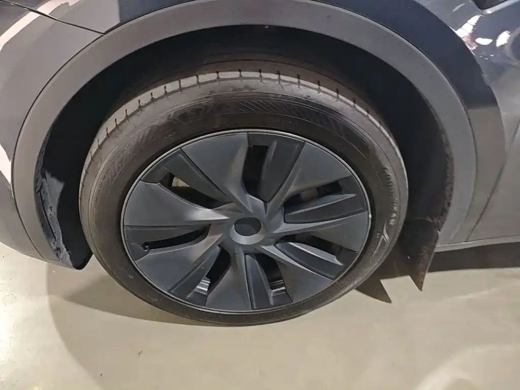 Tesla Model Y — миниатюра 23