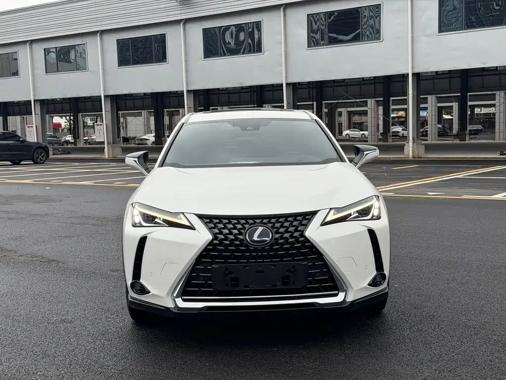 Lexus UX New Energy — миниатюра 2