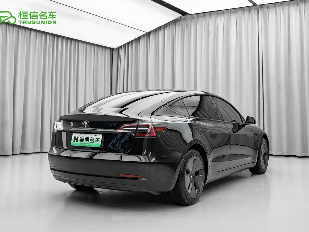 Tesla Model 3 2021 3D6